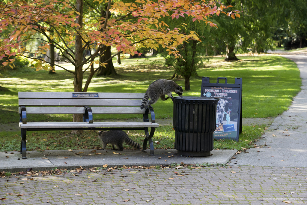 Do not harass the&nbsp;wildlife…