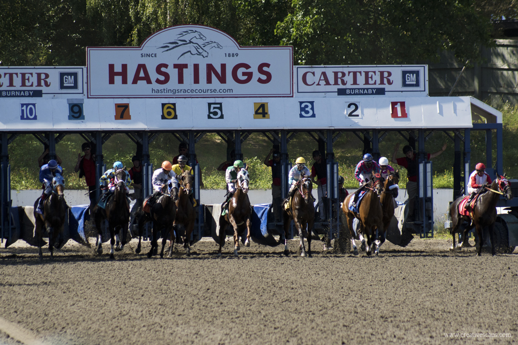 Horse racing season almost&nbsp;finished..