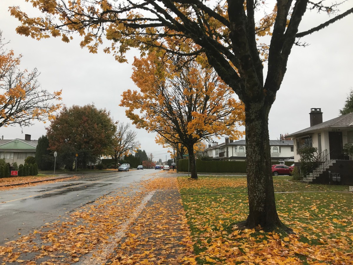 Walking in the&nbsp;rain…